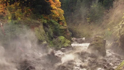 Powerful muddy river flooding through autumn forest canyon Stock Footage 333151086