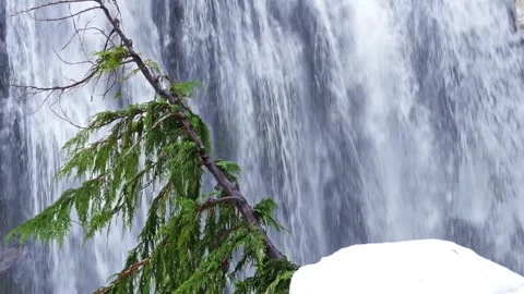 Powerful Narada Falls Waterfall in Mount Rainier National Park, Washington State Video stock 332143874