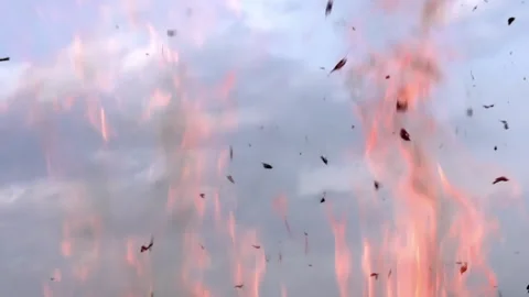 Powerful Natural Fire 4K TZ Stock Footage 319662633
