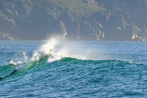 A powerful ocean wave with crystal-clear spray, ready for water sports Фото
