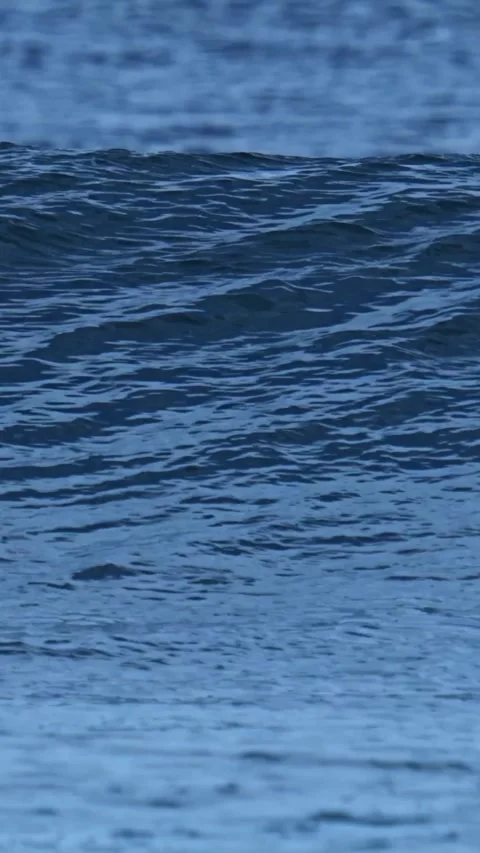 Powerful ocean wave in Indian Ocean Stock Footage 315774656