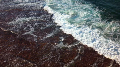 Powerful ocean waves gently crash against the shoreline Video stock 310182956