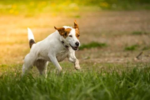 Powerful Stock Photos