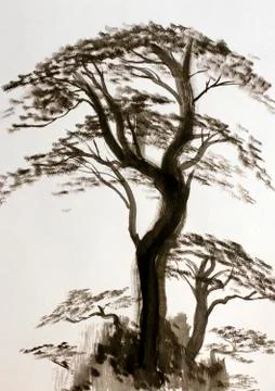 Powerful pine Stock Illustration