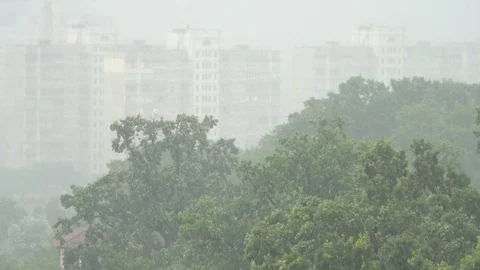 Powerful pouring rain against the background of green trees. Climate change Stock Footage 111389184
