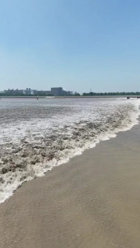 Powerful Qiantang River Tidal Bore Rushes Past Hangzhou, Zhejiang, China Video stock 337344407