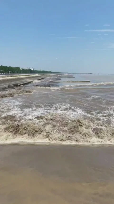 Powerful Qiantang River Tidal Bore Waves Rushing Inland, Zhejiang, China Vídeos de archivo 337598401
