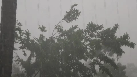 Powerful Rain and Thunderstorm with Lightning and Heavy Winds Stock Footage 314362404
