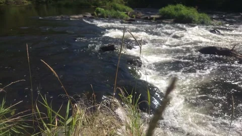 Powerful Rapids and Flowing Water in the Zschopau River in Saxony, Germany Stock Footage 345255087