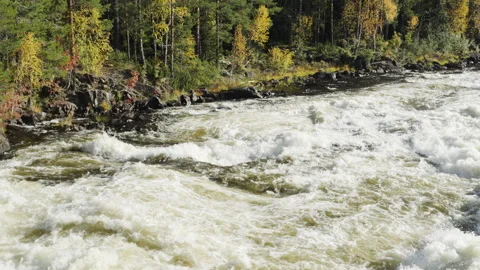 Powerful rapids of the Vindel river flowing through a colorful autumn fores.. Stock Footage 323970057