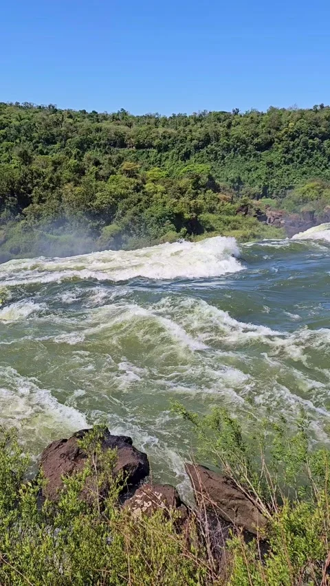Powerful river cascading through lush jungle scenery Stock Footage 338131871