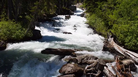 Powerful river flowing through a forest Stock Footage 128160090