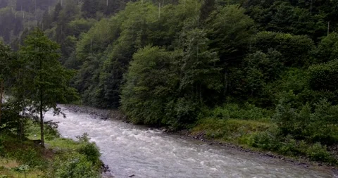 A powerful River flowing through lush greenery on a rainy day Stock Footage 280353953
