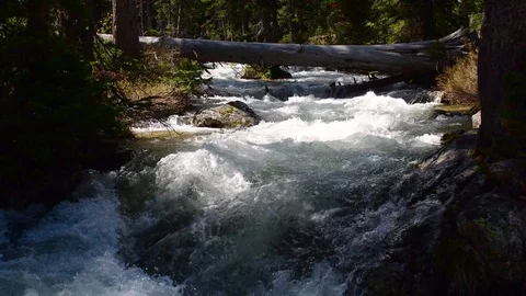 Powerful river running through a forest Stock Footage 128154174