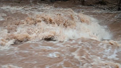 Powerful river. Water flood on river after heavy rain. Swollen river in autumn Stock Footage 164622074