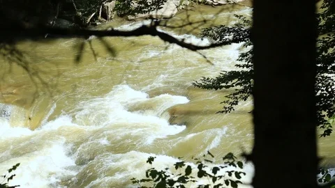 Powerful river in the wood Stock Footage 94381430