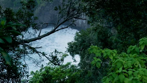 Powerful roaring river flowing through a lush green jungle gorge Vídeos de archivo 333695165