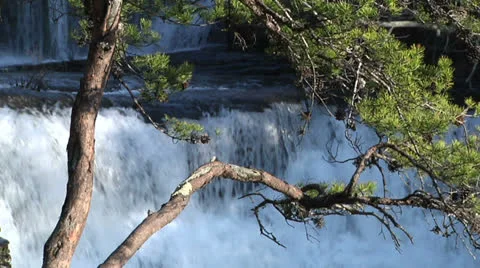 Powerful Rushing River framed with tree Stock-Footage 23741769