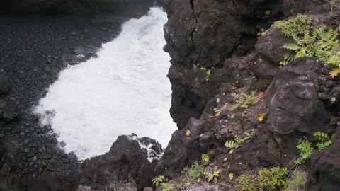 Powerful sea waves rolling over black cave stones rocky seashore, Madeira Stock Footage 220889430