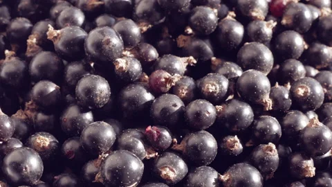 A powerful source of ascorbic acid. It is used for non-specific detoxification Stock Footage 162915905