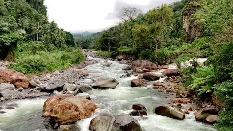 A powerful stream of clear water of a mountain river rushes over the stones Stock-Footage 237689071