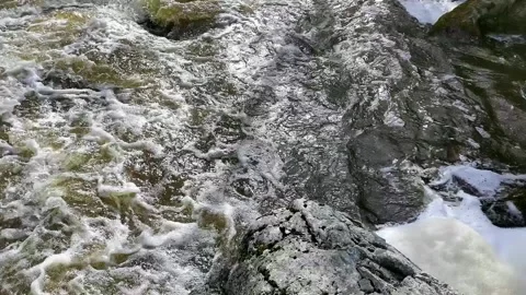 Powerful stream of gray-green water foaming in mountain river. Stock Footage 163357598