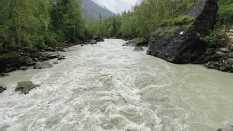 A powerful stream of a mountain river flowing between the rocks. Vídeos de archivo 219348483