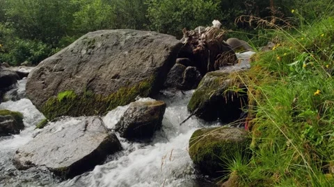 Powerful stream movement in mountains, close-up. Stock Footage 306675114