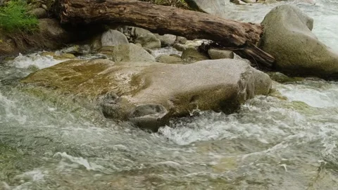 Powerful stream movement in mountains, close-up. Stock Footage 310868170