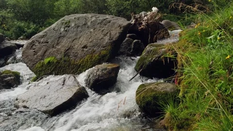 Powerful stream movement in mountains, close-up. Stock Footage 311529870