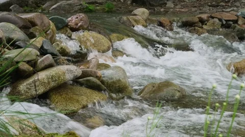 Powerful stream movement in mountains, close-up. Stock Footage 312243469