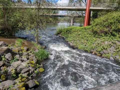 A powerful stream with rapids rushes through a narrow channel Stock Photos