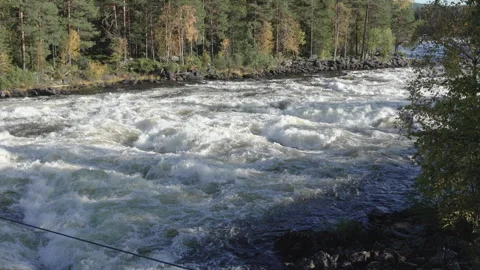 Powerful stream of the Vindel river flowing through a northern forest in Sw.. Stock Footage 323969809