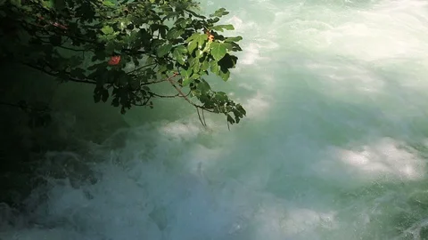 A powerful stream of water goes past the branches of a tree Stock Footage 128081870
