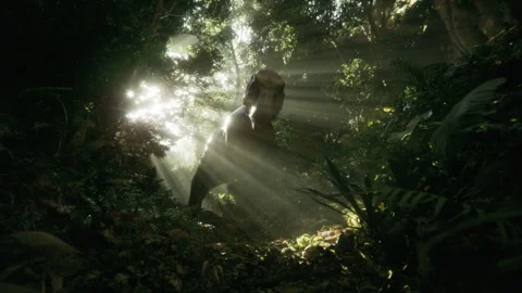 Powerful T-Rex walking through a lush forest Stock Footage 295197266