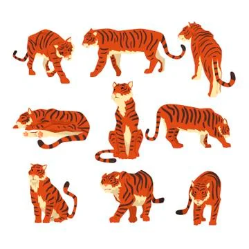 Powerful tiger in different actions set of cartoon vector Illustrations on a Stock Illustration