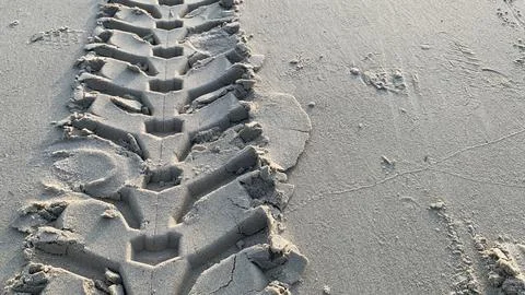 Powerful tire tracks left behind on a sandy beach, Stock Photos