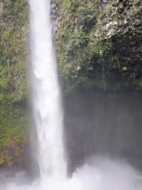 Powerful Tropical Waterfall Cascading into Misty Basin Stock Footage 339774664
