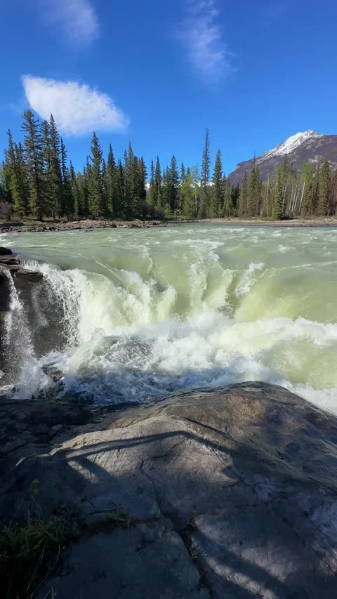 Powerful water of Athabasca falls rushing and splashing with incredible force Stock Footage 334106785