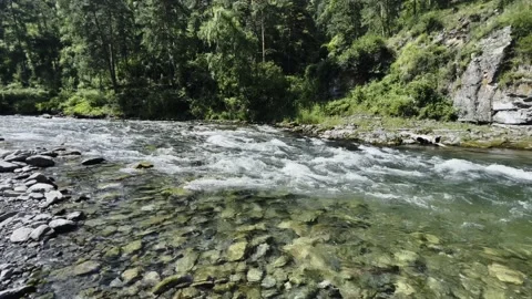 Powerful water flow of a mountain clear river close-up. Slow motion video. Stock-Footage 219230151