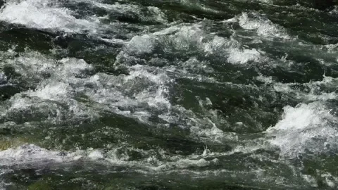 Powerful water flow of a mountain clear river close-up. Slow motion video. Stock-Footage 219230257