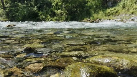 Powerful water flow of a mountain clear river close-up. Vídeo Stock 219643306