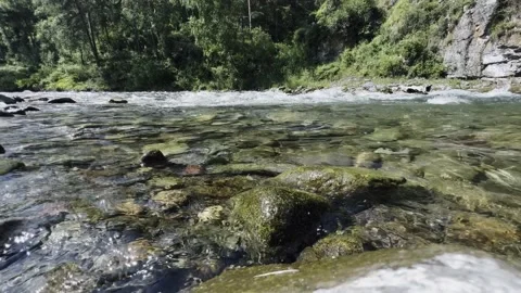 Powerful water flow of a mountain clear river close-up. High quality 4k footage Vidéo 220716461