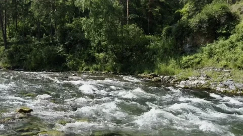 Powerful water flow of a mountain clear river close-up. Slow motion video. Video stock 220876576