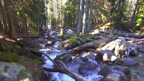 Powerful water flow to wild river from the mountains Stock Footage 96175365