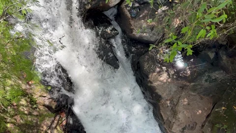 Powerful water stream cascading down rocky cliffs in a green jungle forest Vídeos de archivo 334780580
