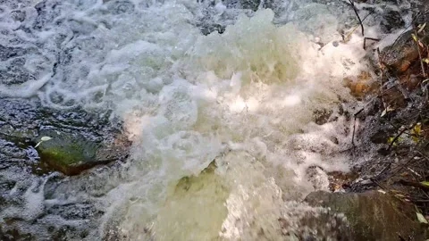 Powerful Water Surge Rushing Through a Natural Stream After Heavy Rainfall Vídeos de archivo 344600918