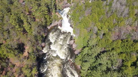 Powerful Waterfall Aerial View Surrounded by Forest – 4K Drone Footage Stock Footage 307464382