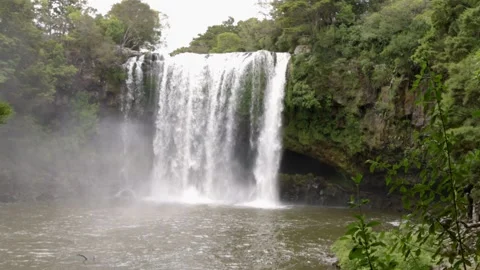 Powerful waterfall cascades into a pool. RAINBOW FALLS, KERIKERI, NZ Video stock 300306033