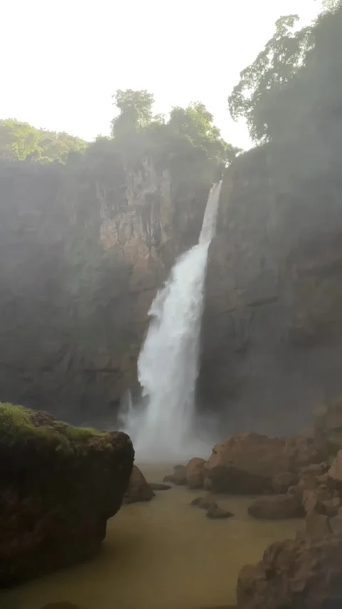 Powerful Waterfall Cascading Down Cliffs, Misty Jungle Environment, Vertical Sta Stock Footage 325646376